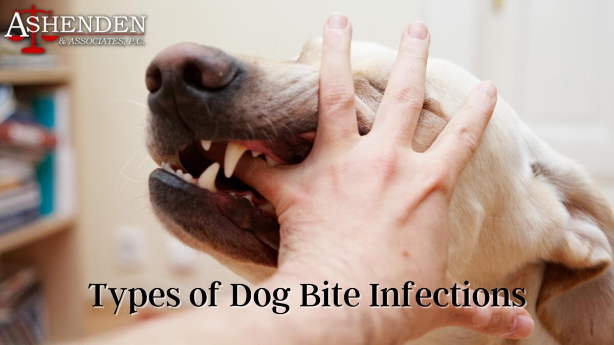 dog bite infections