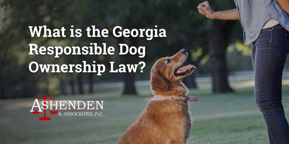 georgia responsible dog ownership law