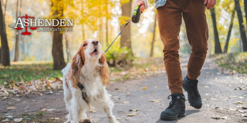 dog bite attorney georgia