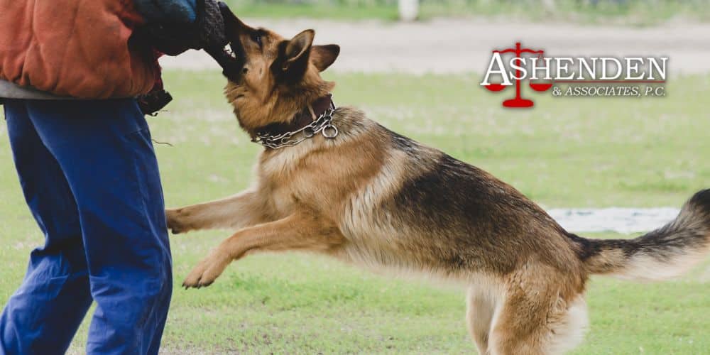 Dunwoody GA Dog Bite Attorney